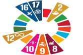 UNCTAD-SDGs Pulse