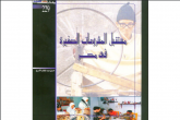 مستقبل المشروعات الصغيرة في مصر