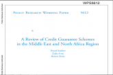 A Review of Credit Guarantee Schemes in the Middle East and North Africa Region