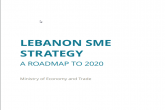LEBANON SME STRATEGY