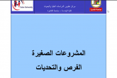 المشروعات الصغيرة الفرص والتحديات
