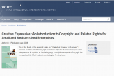 Creative Expression: An Introduction to Copyright and Related Rights for Small and Medium-sized Enterprises