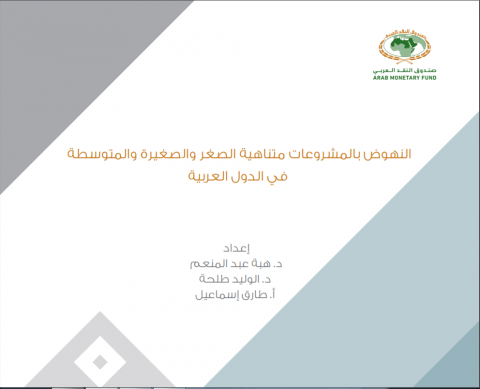 النهوض بالمشروعات متناهية الصغر والصغيرة والمتوسطة في الدول العربية