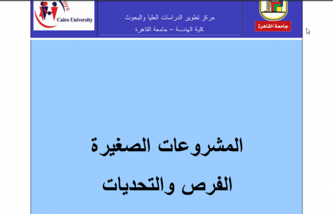 المشروعات الصغيرة الفرص والتحديات