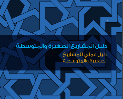 دليل المشاريع الصغيرة والمتوسطة :  دليل عملي للمشاريع الصغيرة والمتوسطة